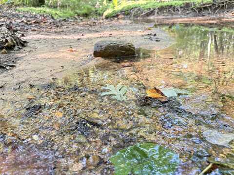 32 Ac County Road 303, Princeton, AL 35766