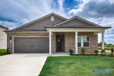 100 Gypsy Way, Toney, AL 35773