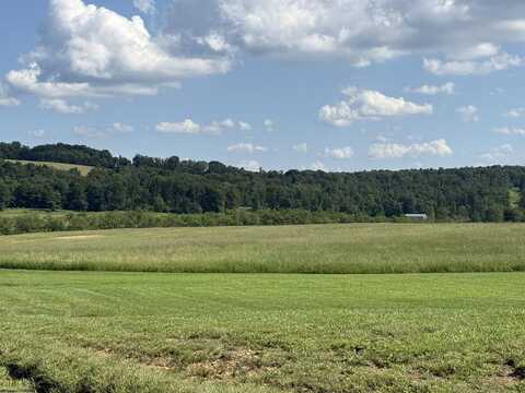 0 Clifton Salem Road, Bruceton Mills, WV 26525