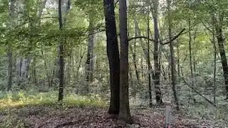 5565 Romeyn Woods, Middleville, MI 49333