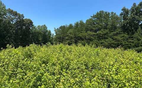 20399 Kings Hwy, Montross, VA 22520