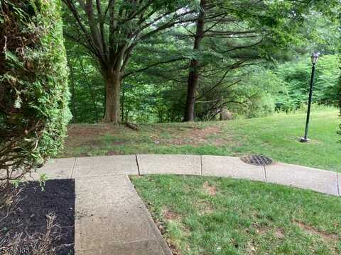28 Stevens Court Ondo, Bedminster, NJ 07921