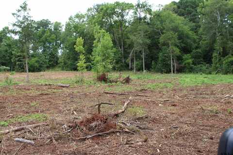 TBD - TRACT 1 CR 4118, Jacksonville, TX 75766