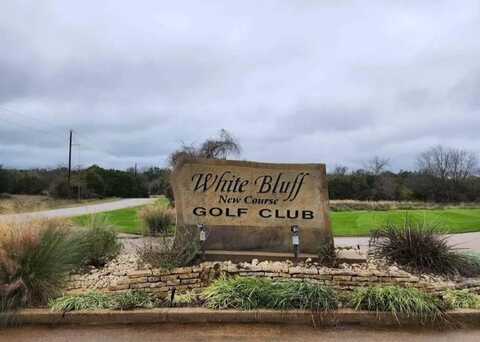 39320 Misty Ridge Drive, Whitney, TX 76692