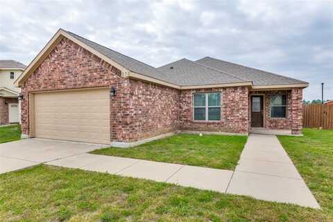 272 Irick Court, Aubrey, TX 76227