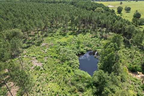 Tbd County Road 3706, Tenaha, TX 75974
