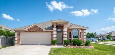 3024 Ortiz Drive, Arlington, TX 76010