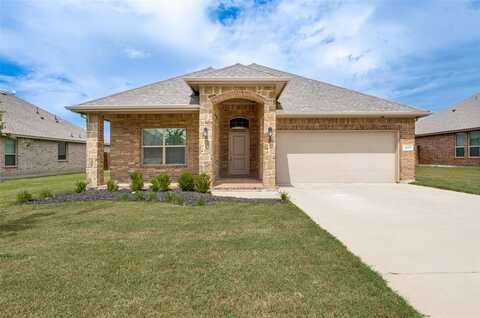 3437 Eloise Lane, Krum, TX 76249