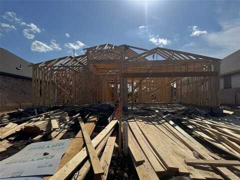 10328 Lenten Rose Street, Fort Worth, TX 76036
