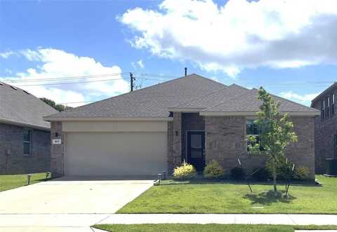 1617 Roadrunner Drive, Little Elm, TX 75068