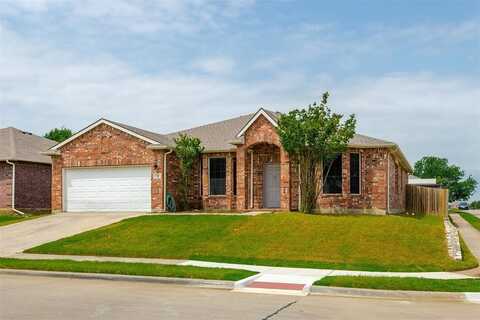 3400 Fashion Street, Little Elm, TX 75068