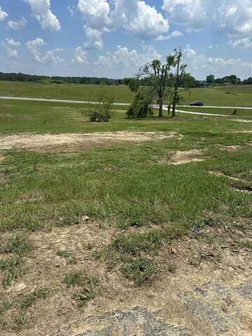 57 Airview Drive, London, KY 40744