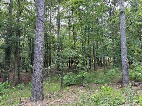 46 Lazy River Lane, Broken Bow, OK 74728