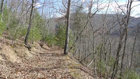 0 Upper Back Creek Road, Monterey, VA 24465
