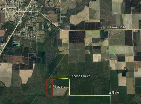 TBD HWY 165, Oberlin, LA 70655
