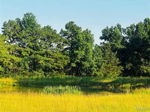 Tract 5 Hwy FF, Mexico, MO 65265
