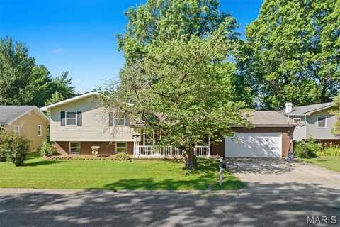 65 Trout Drive, Highland, IL 62249