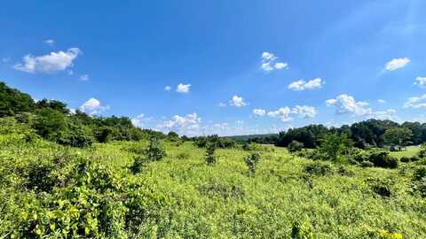 9755 FB Eye Rd, Blue Rock, OH 43720