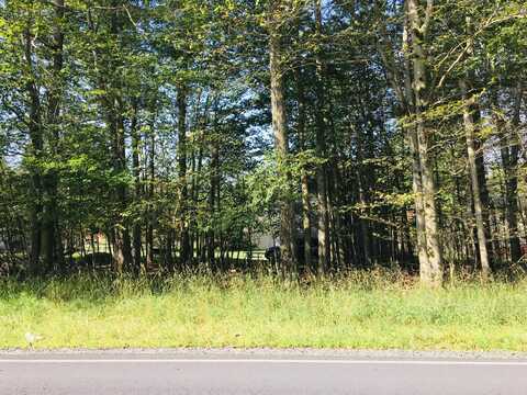 Lot H22 Elizabeth Lane, Tobyhanna, PA 18466