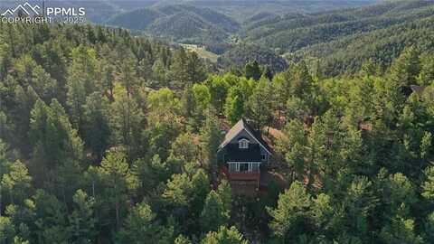 337 Blue Spruce Road, Divide, CO 80814