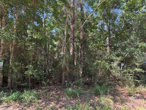 0 E Bolivar St, Bay Saint Louis, MS 39520
