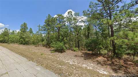 9870 N Lathyrus Terrace, Dunnellon, FL 34433