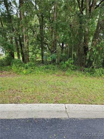7892 W Tumblwbrook Drive, Dunnellon, FL 34433