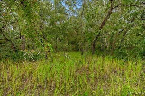 Maybird Avenue, Weeki Wachee, FL 34613