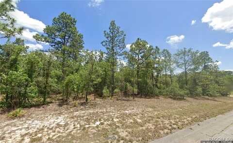 9884 N Lathyrus Terrace, Dunnellon, FL 34433
