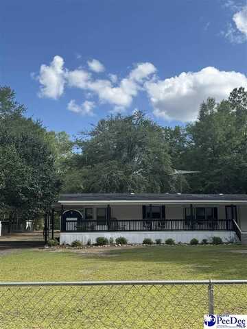 1737 Princesses Pond Rd, Summerton, SC 28148