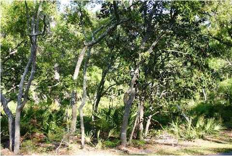 208 Waters Edge Dr, Port Saint Joe, FL 32456