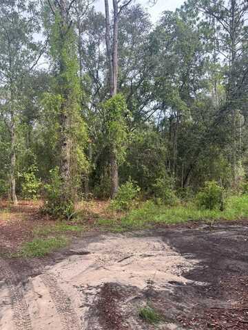 72ND PLACE NE, BRONSON, FL 32621