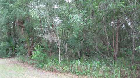 OAK VALLEY DRIVE, DELAND, FL 32720