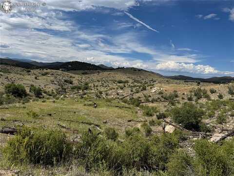 701 Shannon Trail, Cotopaxi, CO 81223