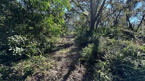 1676 HERMOSA DRIVE, PALM HARBOR, FL 34683