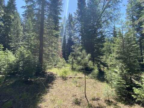 2-B-16 Rocky Ridge Way, McCloud, CA 96057