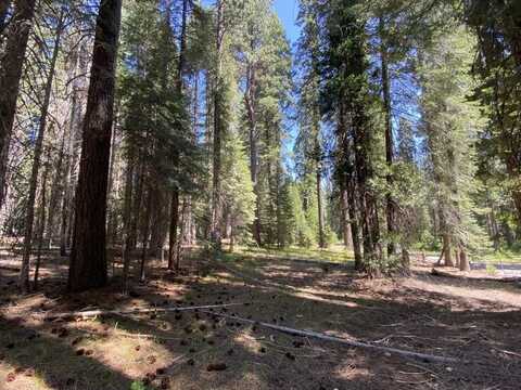 2-B-6 Crestview Way, McCloud, CA 96057