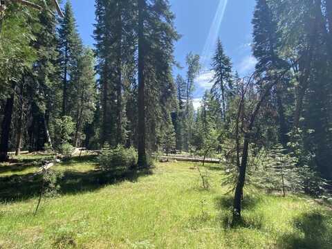 2-B-15 Rocky Ridge Way, McCloud, CA 96057