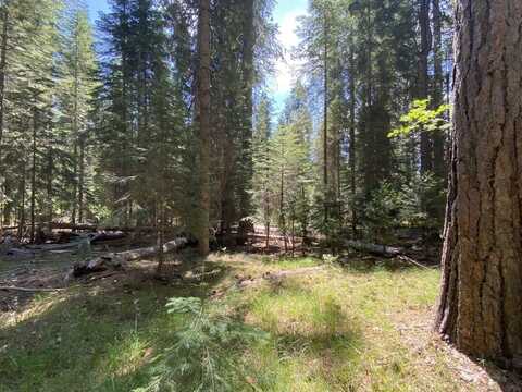 2-B-5 Crestview Way, McCloud, CA 96057