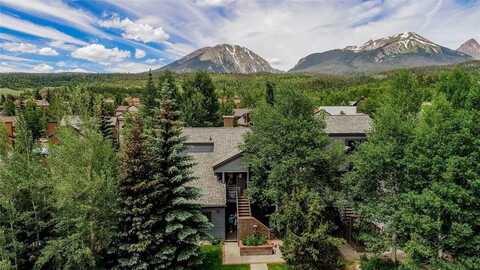 101 BLUE GROUSE LANE, Silverthorne, CO 80498
