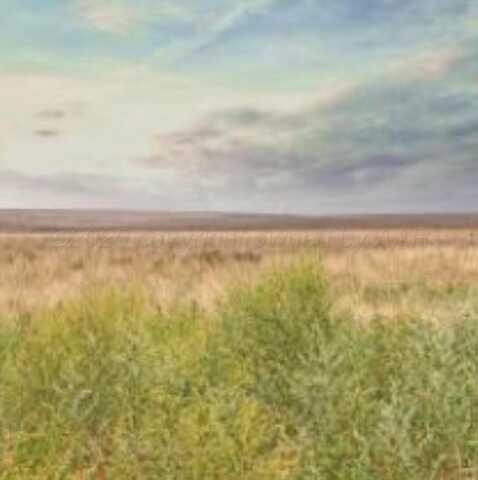 FM 2587, Wildorado, TX 79098