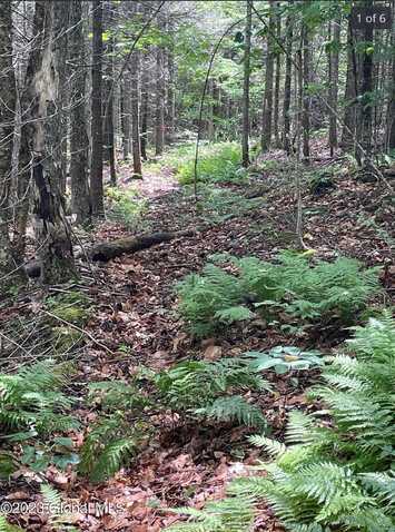 L25 Cleveland Rd Road, Indian Lake, NY 12842