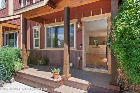 337 Cleveland Place, Carbondale, CO 81623
