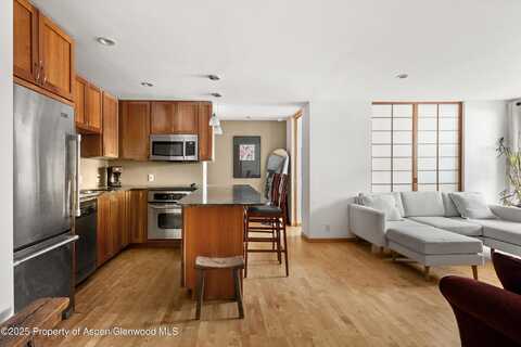 935 E Hopkins Avenue, Aspen, CO 81611