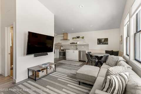 220 W Main Street, Aspen, CO 81611