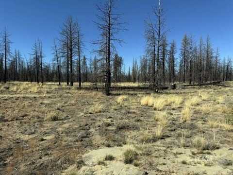 Mahogany Ln, Beatty, OR 97621