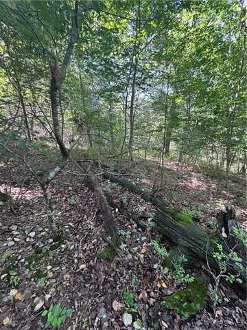 Lot 10, Block 4 Gretton LN, Bella Vista, AR 72714