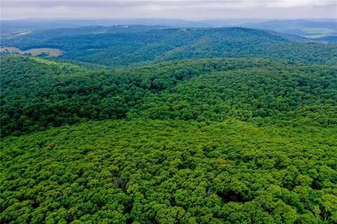 3700 Madison, Pettigrew, AR 72752