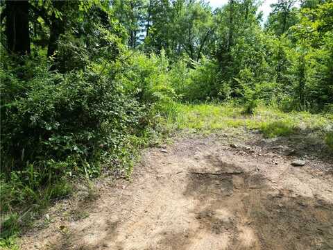 60 Solomon DR, Dover, AR 72837