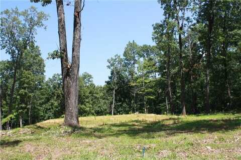 263 S South ST, Midway, AR 72651